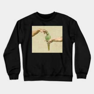 scritching a green indian ringneck #full Crewneck Sweatshirt